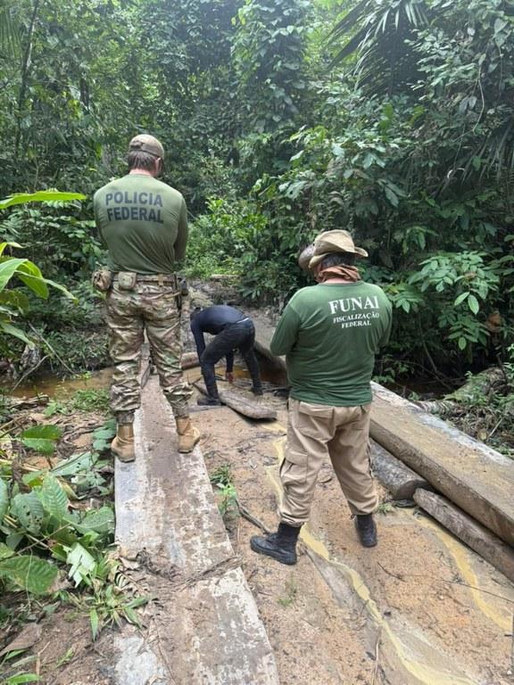 PF, PMRO e IBAMA combatem crimes ambientais em Rondônia