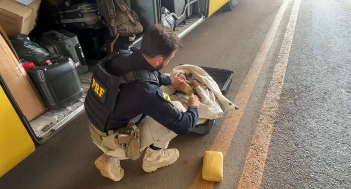 PRF apreende cerca de 20 kg de skunk em ônibus na BR-364