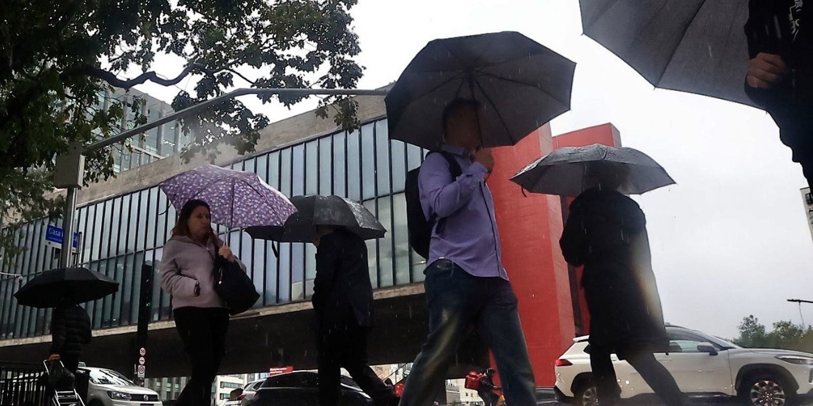 Chuvas em SP: cidades do Vale do Ribeira estão em estado de emergência
